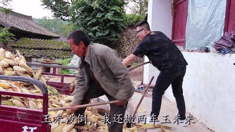 虎子妈吃瓜,揭秘娱乐圈幕后故事