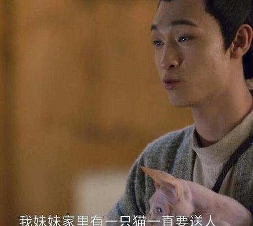 江湖瓦舍吃瓜群众,吃瓜群众的欢乐盛宴