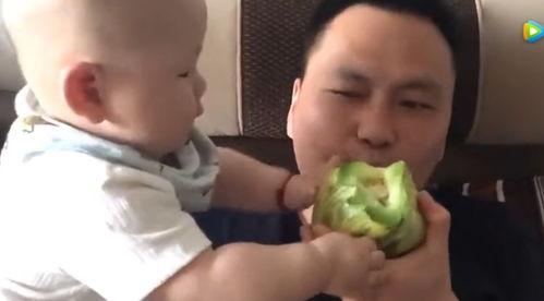 贝贝瓜俩岁宝宝吃,贝贝瓜两岁宝宝辅食营养搭配攻略