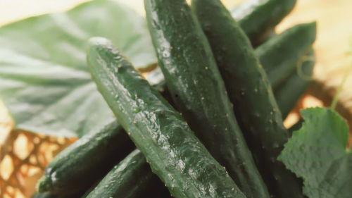 吃不腻的瓜,揭秘那些让人百吃不腻的瓜的秘密