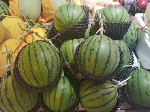 介休吃瓜亲亲殿下,揭秘吃瓜亲亲殿下的瓜趣人生