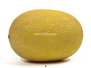 过敏吃哈密瓜,哈密瓜的甜蜜陷阱与应对策略