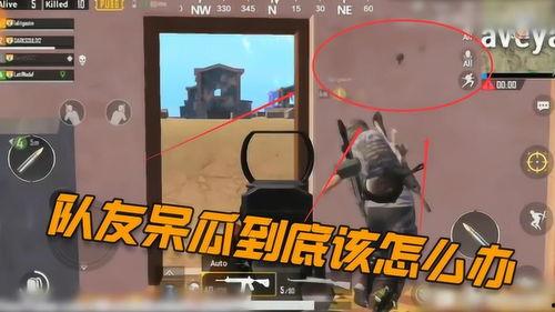 吃鸡遇到呆瓜敌人,吃鸡战场上的意外“笑果”