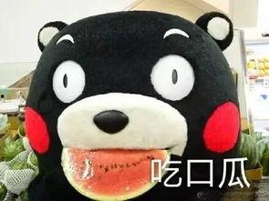 听歌晚上吃瓜,一场音乐与美食的奇妙邂逅