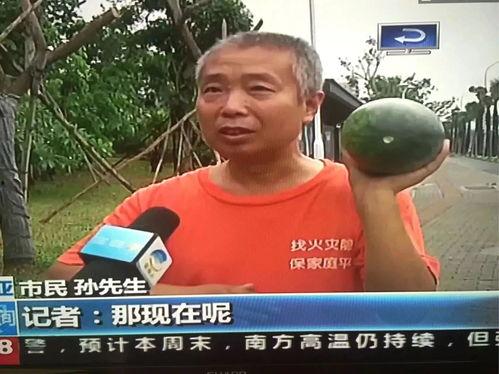 韩城群众吃瓜事件,一场引发热议的街头现象揭秘