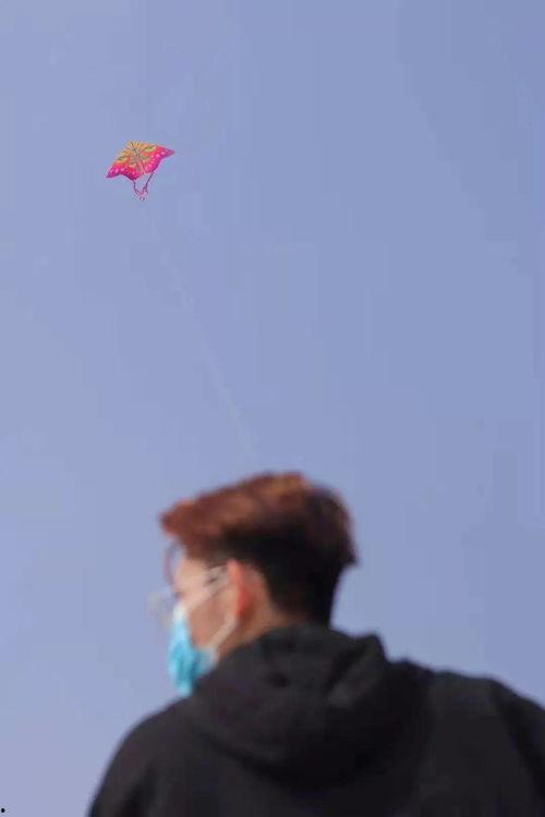 追剧吃瓜bot,跟“追剧吃瓜bot”一起吃瓜不停