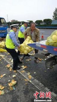 911事件吃瓜群众,吃瓜群众的视角解读