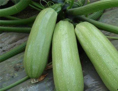 茄瓜变色可以吃吗,能否放心食用？