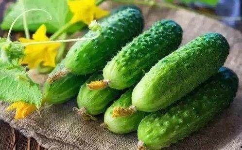 两头吃瓜,揭秘网络热词背后的趣味与智慧