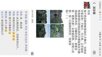 给力吃瓜群众,给力吃瓜群众背后的故事