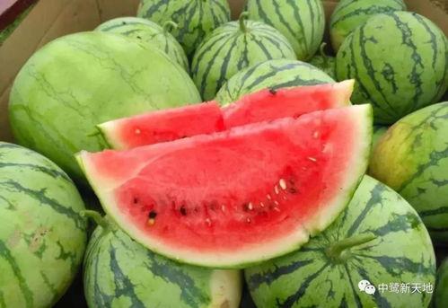 池妈家吃瓜,揭秘娱乐圈背后的那些事儿