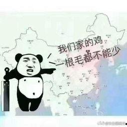 理智吃瓜的唯美句子,唯美句中的情感盛宴