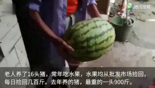 吃瓜网友网上吃瓜视频,吃瓜网友热议吃瓜视频,揭秘幕后故事
